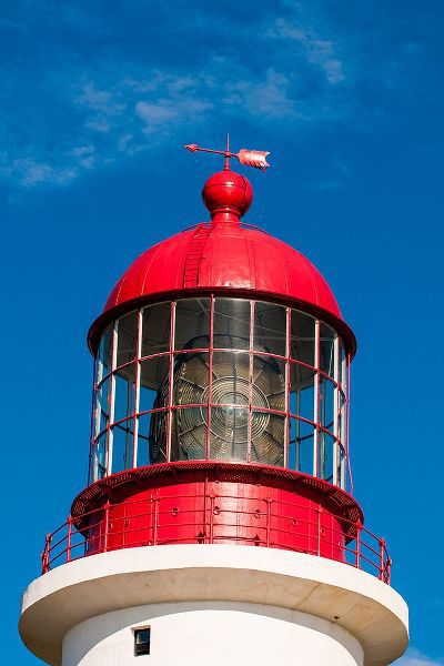 DeFreitas, Michael 아티스트의 Cape Race Lighthouse-Cape Race-Avalon Peninsula-Newfoundland-Canada작품입니다.